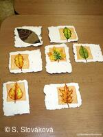 * Z DĚNÍ VE MĚSTĚ