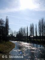 * Z DĚNÍ VE MĚSTĚ