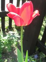 Kancelář vedení města