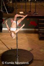 * Z DĚNÍ VE MĚSTĚ